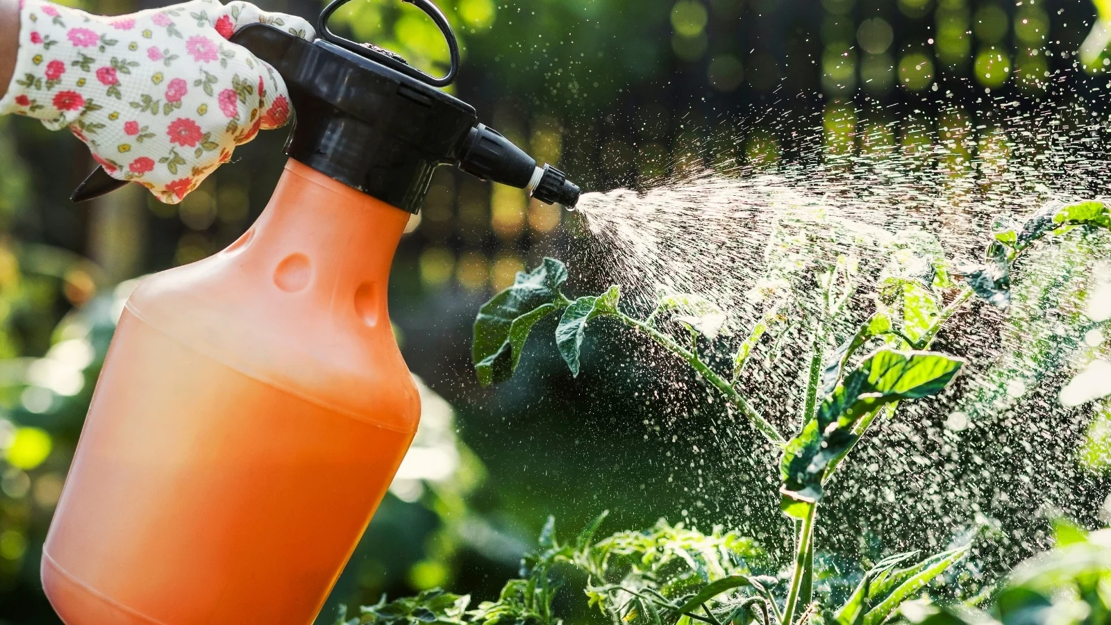 Crop Protection Solutions